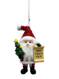 Santa's Nice List Personalized Name Ornament Blank DIY, Family and Holiday Greetings