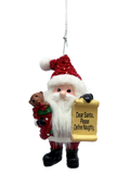 Santa's Nice List Personalized Name Ornament Blank DIY, Family and Holiday Greetings