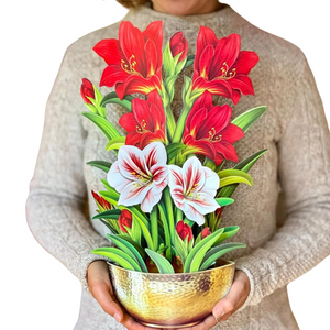 Scarlet Amaryllis Fresh Cut Flowers Paper Pop-Up Bouquet