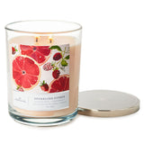 Hallmark Sparkling Citrus 3-Wick Jar Candle, 16 oz.