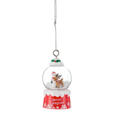 Special Caregiver Ornament