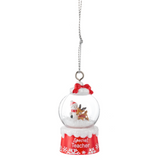 Special Teacher Ornament