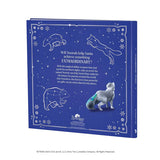 Elf on the Shelf Extraordinary Noorah: Santa’s Magical Arctic Fox Book Back