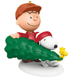 Hallmark Peanuts® Snoopy and Charlie Brown The Perfect Tree Ornament