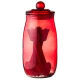 Hallmark Valentine's Day Idea Cards in Red Glass Jar, Set of 14