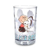Hallmark Peanuts® Happiness Is a Good Friend Collectible Drinking Glass, 13.5 oz.
