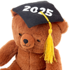 Hallmark 2025 Graduation Bear Plush, 8"