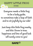 Happy Little Frog Stone Pocket Token Charm