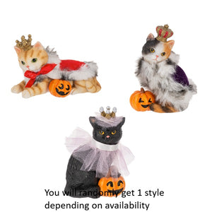 3.5" Royal Cat in Halloween Costume with Jack O Lantern Pumpkin Figurine
