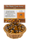 The Mighty Little Acorn Token Charm