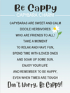 Be Cappy Capybara Token Charm 1.3"