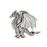 The Lucky Little Dragon Token Charm 1"