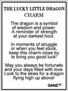 The Lucky Little Dragon Token Charm 1"