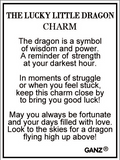 The Lucky Little Dragon Token Charm 1"