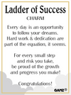 Ladder of Success Pocket Token Charm