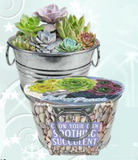 peace by peace succulents Pail of Peace