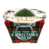 The Perfect Pine - Grow Your Own Christmas Tree