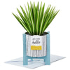 Hallmark Spider Plant Keep Growing 3D Pop-Up Hello Card