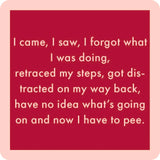 I Came, I Saw Coaster