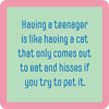 Teenager Cat Coaster