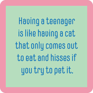 Teenager Cat Coaster