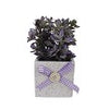 Potted Faux Lavender Plant