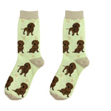 Red Dachshund Dog Happy Tails Socks