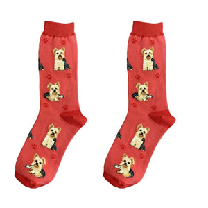 Yorkie Dog Happy Tails Socks
