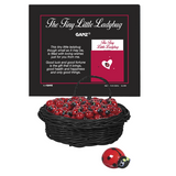 Tiny Little Glass Ladybug Pocket Token Charm