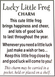 Lucky Little Frog Pocket Token Charm