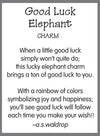 Rainbow Color Good Luck Elephant Pocket Token Charm