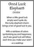 Rainbow Color Good Luck Elephant Pocket Token Charm