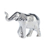 Elephant Lessons Token Charm