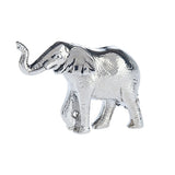 Elephant Lessons Token Charm
