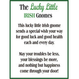 Lucky Little Irish Gnome Token Charm