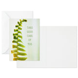 Hallmark Nature Images Assorted Thinking of You Cards, Pack of 12