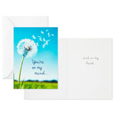 Hallmark Nature Images Assorted Thinking of You Cards, Pack of 12