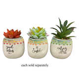 3" Free Spirit Faux Succulent in Ceramic Pot