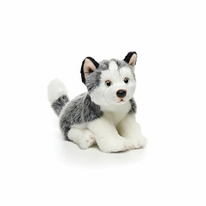 Husky Plush Stuffed Animal