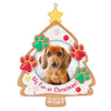Hallmark 2023 My Fur-st Christmas 2023 Photo Frame Ornament