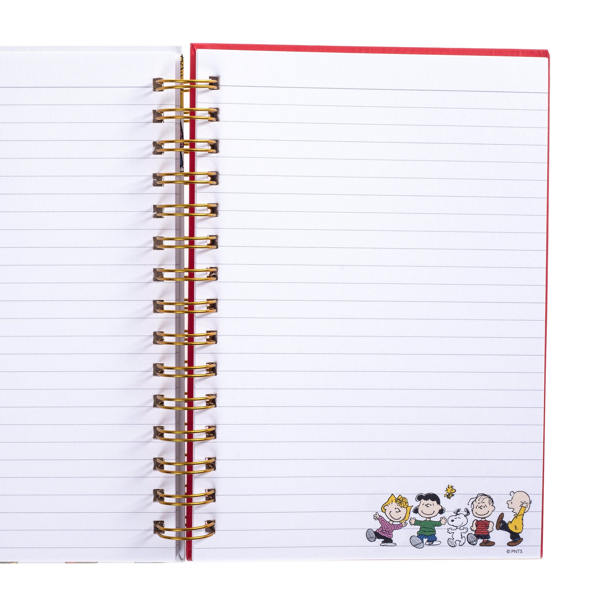 Snoopy The Peanuts® Gang Characters Spiral Journal 6"x8" – Steve's Hallmark