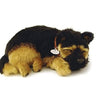 Perfect Petzzz German Shepherd Steve s Hallmark