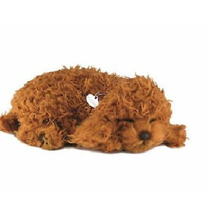 Perfect Petzzz Toy Poodle