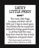 Lucky Little Piggy Token Charm