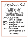 Little Wise Acorn Owl Token Charm