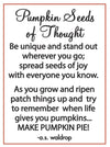 Mini Pumpkin Seed of Thought Token Charm