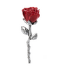 The Red Rose Token Charm