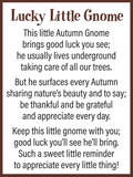 Token Charm Lucky Little Autumn Gnomes