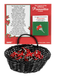 The Legend of the Christmas Poinsettia Token Charm