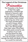 The Legend of the Christmas Poinsettia Token Charm